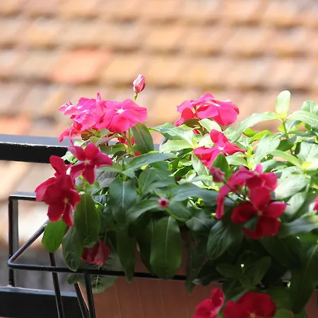 Bed & Breakfast Casa Venezia Bernalda