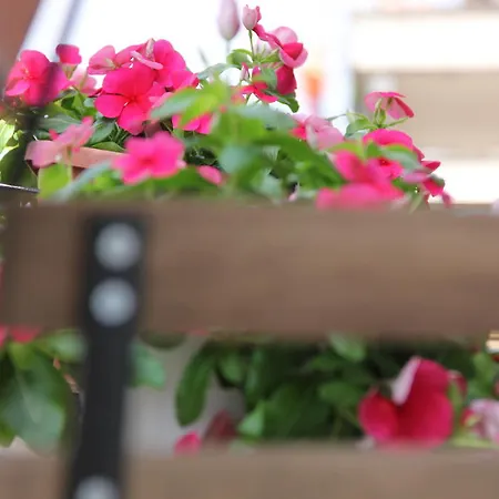 Bed and breakfast Casa Venezia