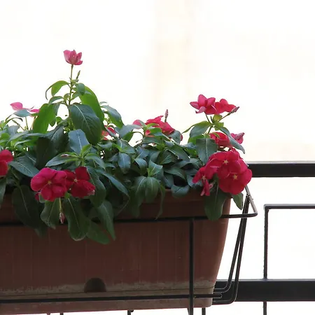 Bed and breakfast Casa Venezia Bernalda