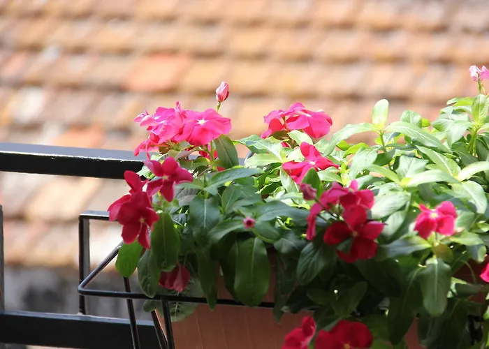 Bed & Breakfast Casa Venezia Bernalda