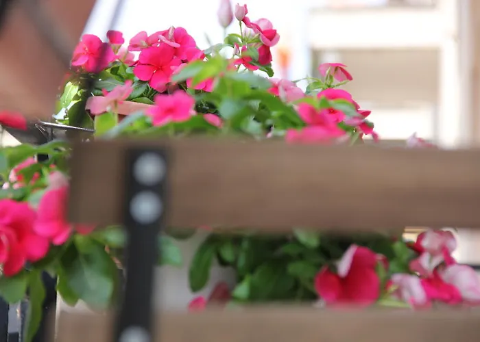 Bed & Breakfast Casa Venezia