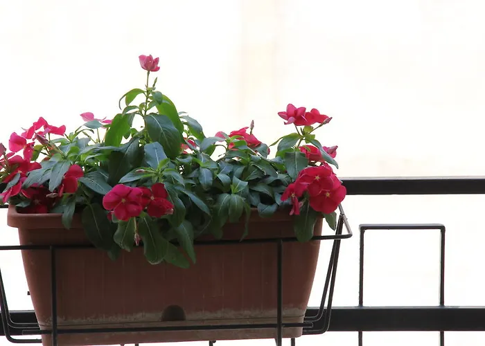 Bed & Breakfast Casa Venezia Bernalda